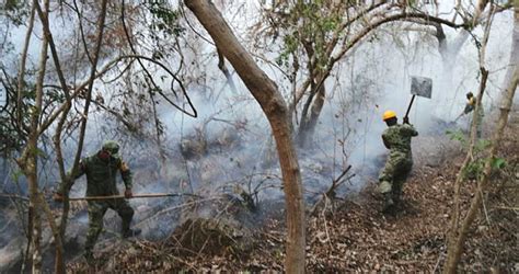 Aplica Sedena Plan Dn Iii E En Sonora Y Ocho Estados M S Por Incendios