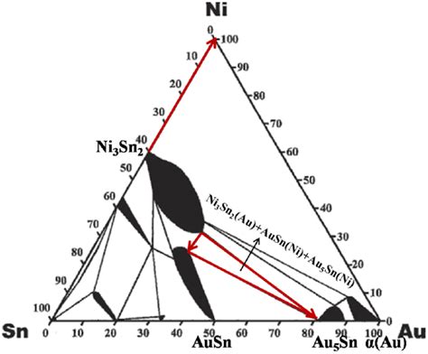 The isothermal section of Au–Ni–Sn phase diagram at room temperature ... 