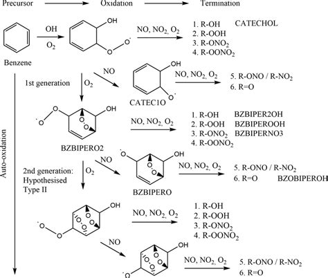 Reaction Scheme Of Benzene Oxidation By Oh With Proposed Di Bridged Download Scientific Diagram