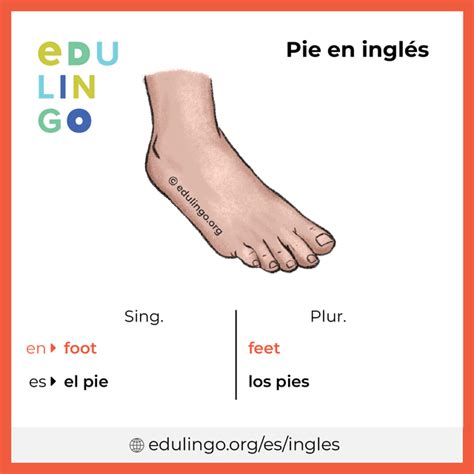 Pie en inglés Escritura y pronunciación con imágenes