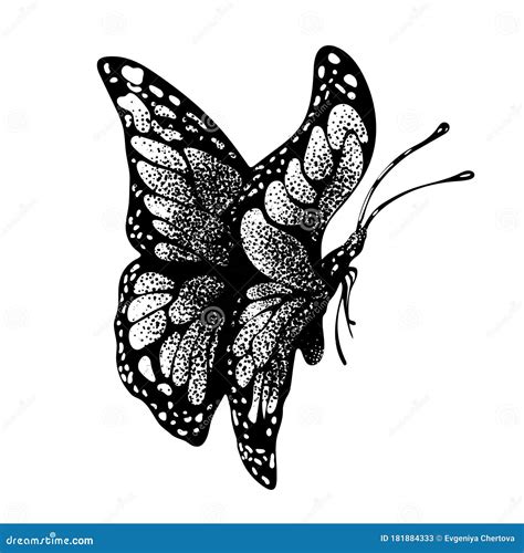 Ink Butterfly Hand Drawing Doodle Insect Sketch Monochrome Print