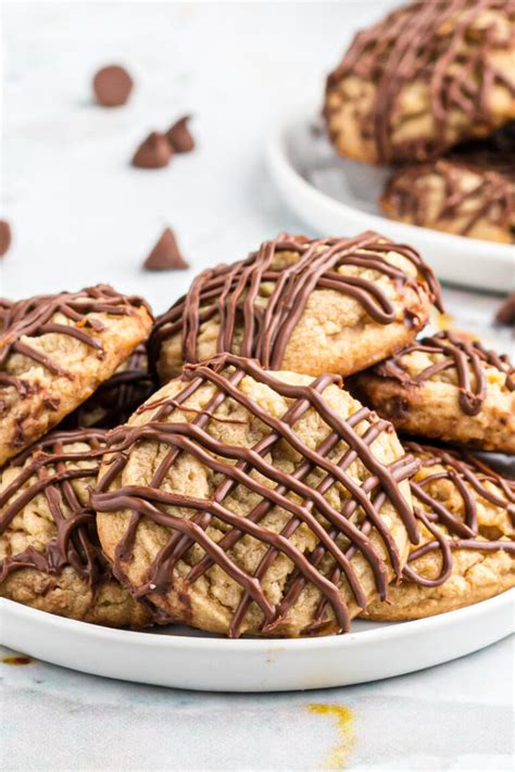 Chocolate Drizzled Peanut Butter Cookies Recipe Girl®