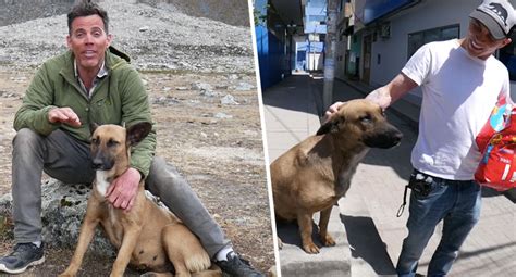 Famoso ator adota cãozinho de rua durante viagem ao Peru