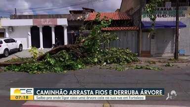 Bom Dia Ceará Caminhão arrasta fios e derruba árvore em Fortaleza