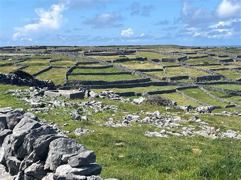 Aran Islands Cliffs Of Moher Cliff Cruise Tour From Galway Guided