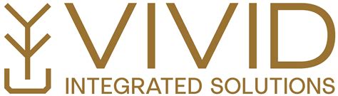Vivid Integrated Solutions, LLC – EXPERTS IN TRANSFORMATIVE GROWTH™