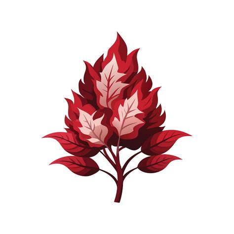 Unique Smoke Bush Plant 57393530 Vector Art at Vecteezy
