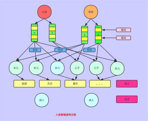 遗传算法原理以及在量化投资的应用 Cda数据分析师官网