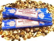 About Nagchampa - Assignment Point