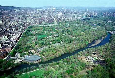 wildlife conservation society bronx zoo master plan ayers saint gross