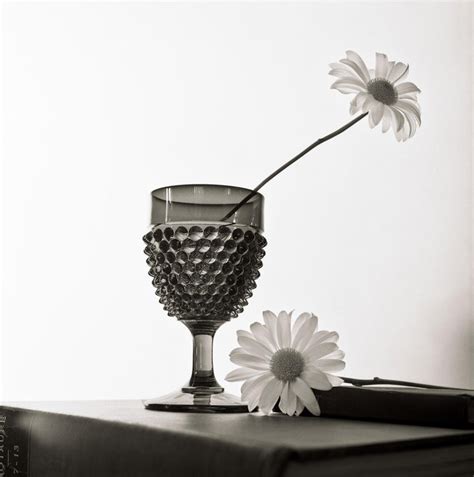 Horst P. Horst - Untitled, (1970-1980) For Sale at 1stDibs