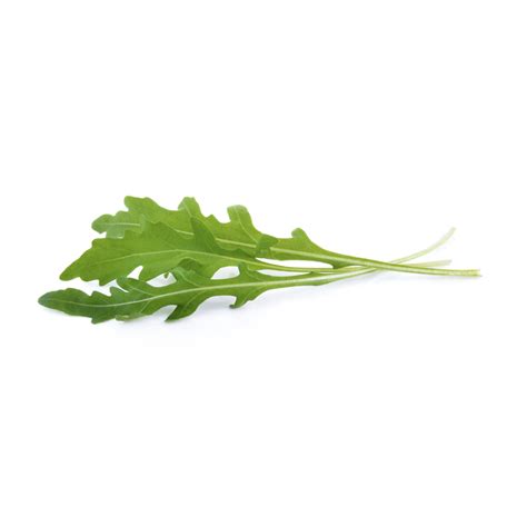 Salad Rocket 100g - Little Oaks Produce (Pty) Ltd