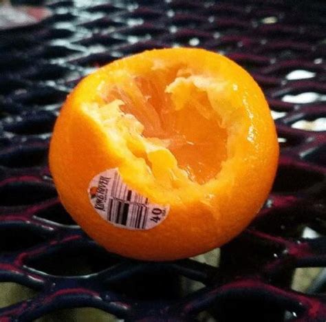 Cursed_orange : cursedimages