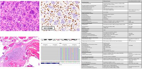 Molecular And Immunohistochemical Testing Of Bone Tumours Review And