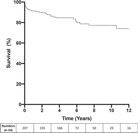 Kaplan Meier Survival Curve For The Cohort Download Scientific Diagram