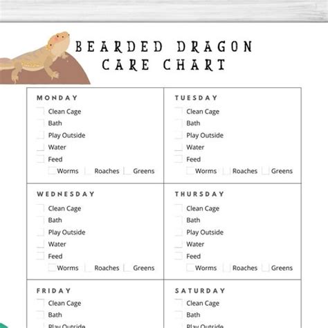 Bearded Dragon Monthly Feeding Chart Printable Download - Etsy