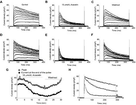 Inhibition Of Kv1 3 Channel Currents By Acacetin In Human T Cells A C