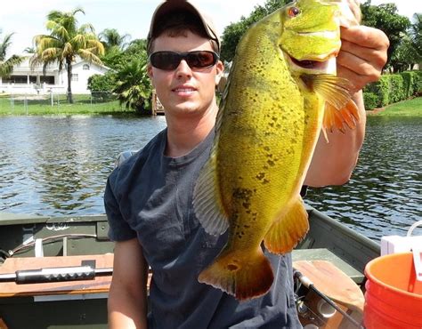 The Beginners Guide To Canal Fishing In Florida Good Sam