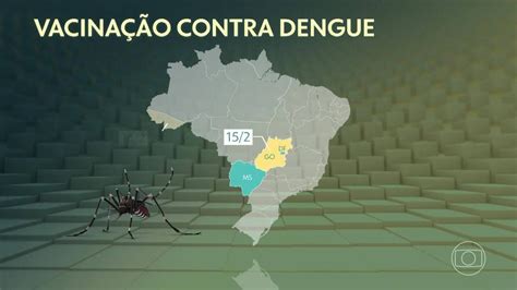 Dengue Brasil Registra Mais De 500 Mil Casos Em 2024 Veja Mapa