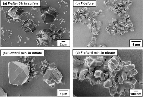 Surface Morphologies Of The Iro Ta O Ti Anode F Ir Mol