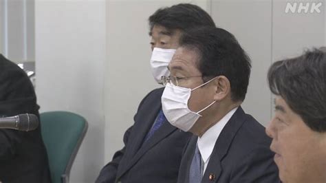 10万円一律給付 補正予算案見直しで陳謝 自民 岸田政調会長 Nhkニュース