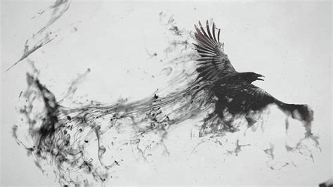 Black and white painting of bird HD wallpaper | Wallpaper Flare