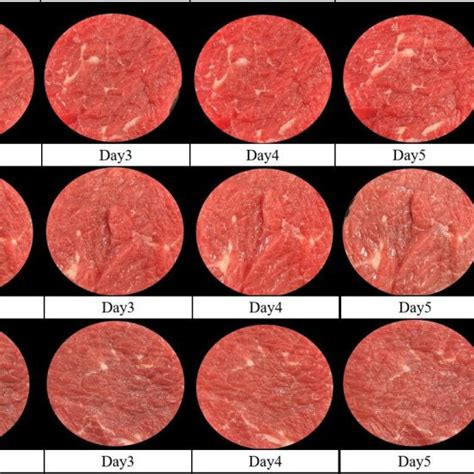 Comparative Effects Of Sodium Lactate Natamycin And Sodium Lactate