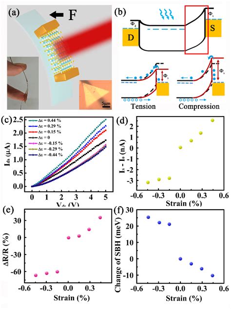 Piezo phototronic effect of the few layer α In2Se3 single crystals a