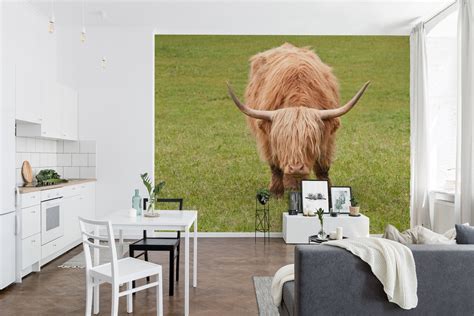 Highland Cow 8 wallpaper - Free shipping | Happywall