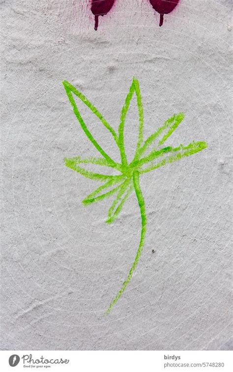 painted marijuana leaf - a Royalty Free Stock Photo from Photocase