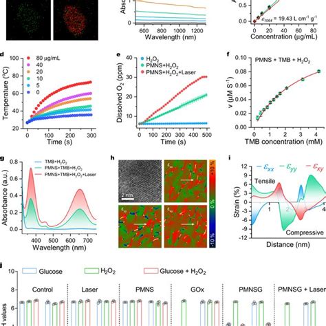 Characterization Of Pmns And Pmnsg A Eds Elemental Mapping Of Pd And Mo