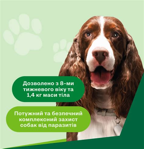 Протипаразитарні таблетки для собак Credelio Plus від бліх, кліщів та ...