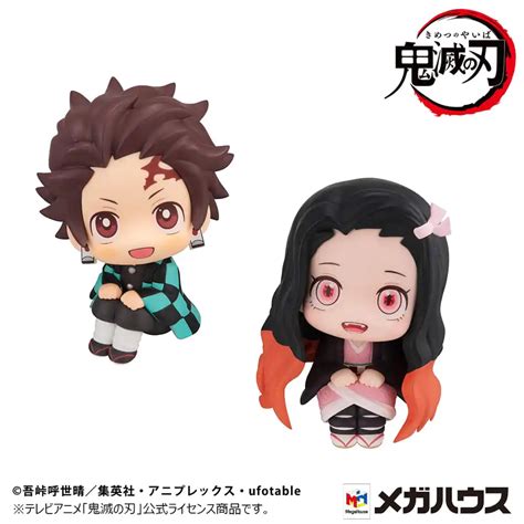 Demon Slayer Kimetsu No Yaiba Look Up Tanjiro Kamado Sharp Face Ver