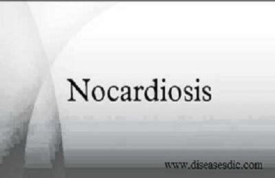 Nocardiosis - Definition, Symptoms, Causes, Prevention and Treatment.