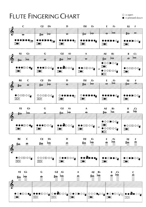 Die besten 25+ Flute fingering chart Ideen auf Pinterest