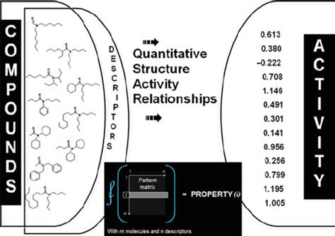 1 General Framework Of Qsar Modeling Download Scientific Diagram