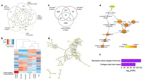 Cells Free Full Text Transcriptomic Signature Of The Simulated