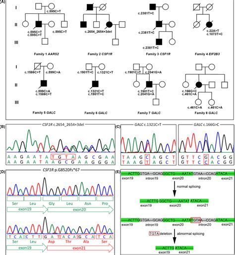 Pedigrees And Novel Mutations A Pedigree Charts Of The Eight