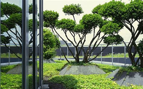 topiary garden design modern garden topiary