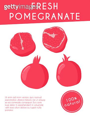 Set Of Pomegranate Fruits Vector Hand Drawn Card Concept Fresh