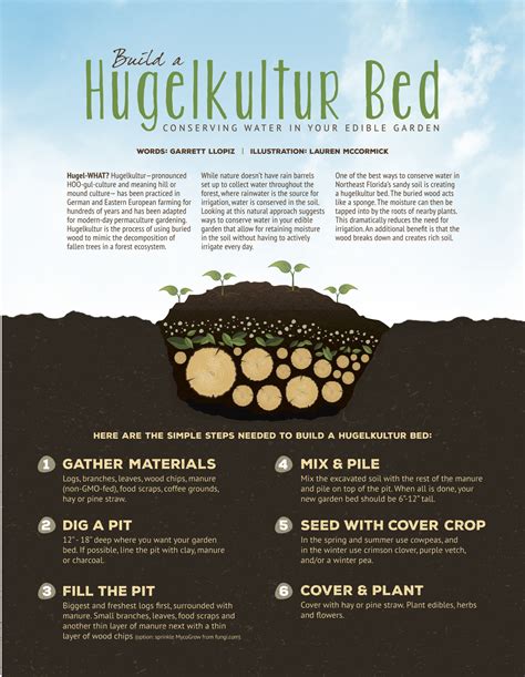 DIY Hugelkultur Bed for Your Garden | Edible Northeast Florida