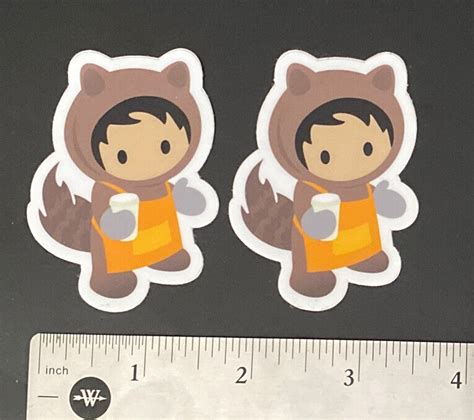 Lot Of 2 NEW Salesforce Astro Apron Stickers Orange Cooking | eBay