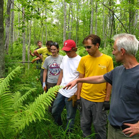 Mud Lake Bog | Matthaei Botanical Gardens & Nichols Arboretum