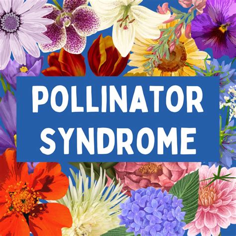 Pollinator Facts | P2C