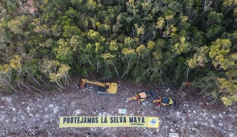 Tren Maya podría considerarse un ecocidio Tiempo Real