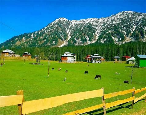 Top 15 Best Things To Do In Azad Kashmir Neelum Valley Prestine