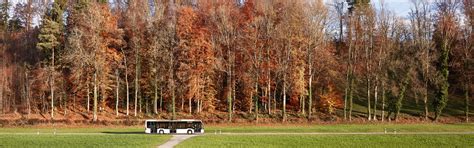 Verkaufsstellen Ostwind Steigen Sie Ein