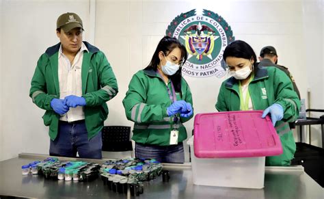 Detienen A Una Brasile A Que Intentaba Sacar De Colombia Ranas En