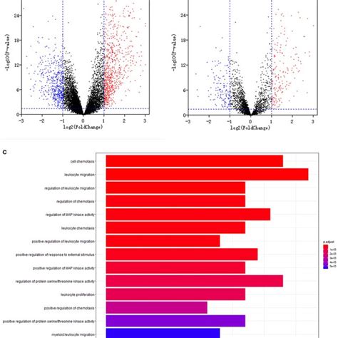 Differentially Expression And Functional Enrichment A Volcano Plot Download Scientific