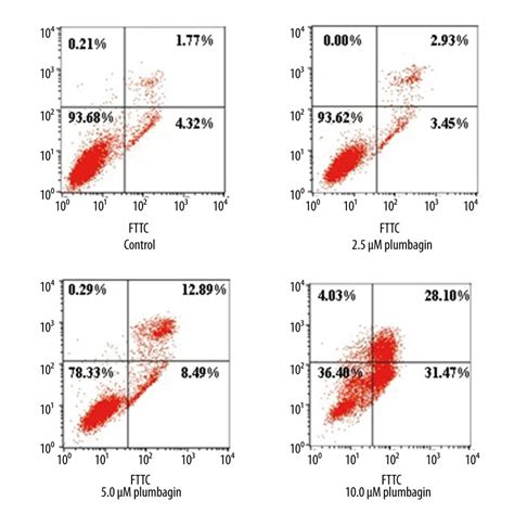 Cell Apoptosis In Tca8113 Cells Treated With Plumbagin For 24 Hr